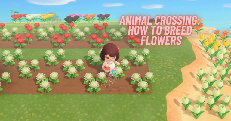 Animal Crossing Flowers – ACNH Flower Breeding Guide