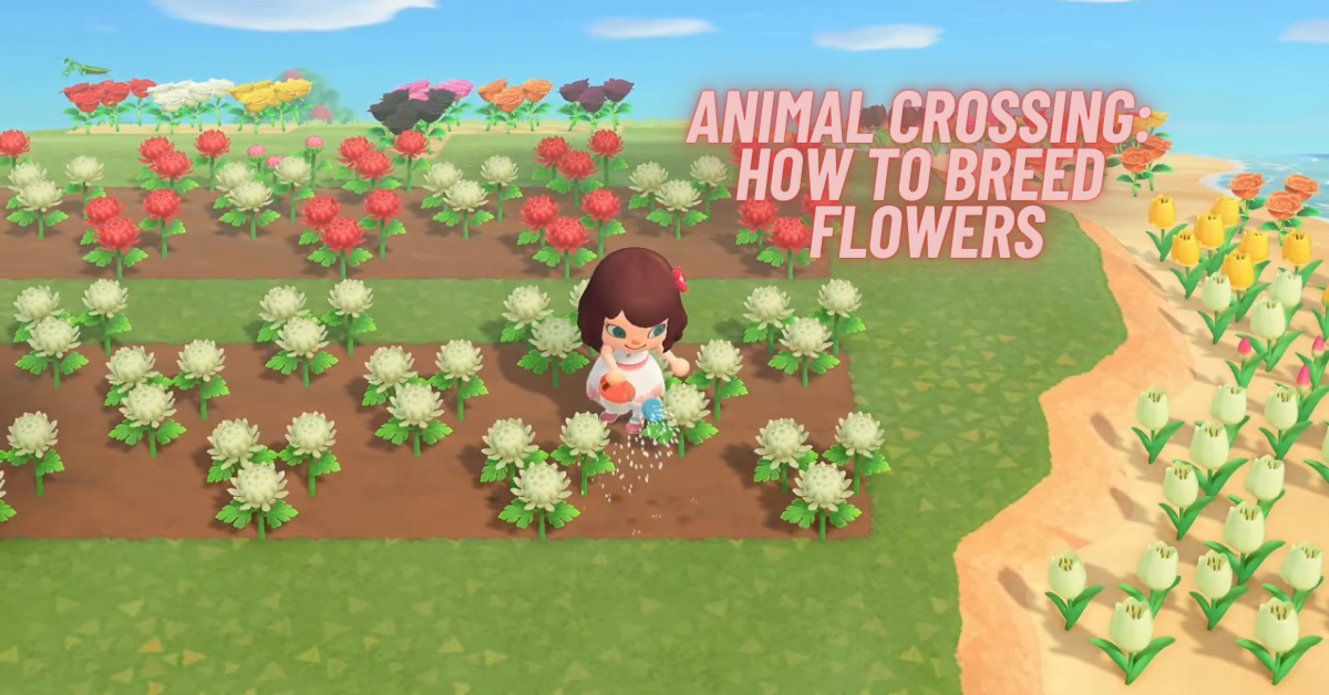 Animal Crossing Flowers – ACNH Flower Breeding Guide