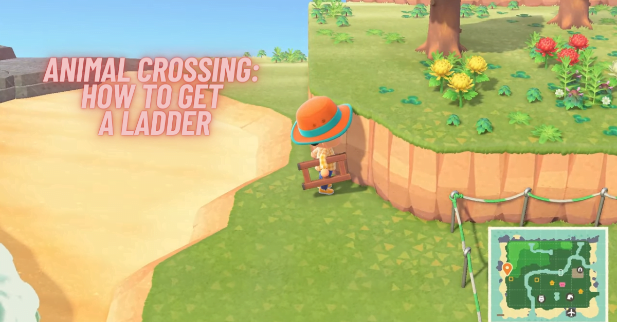 How to Get A Ladder in Animal Crossing – Best 4 Steps