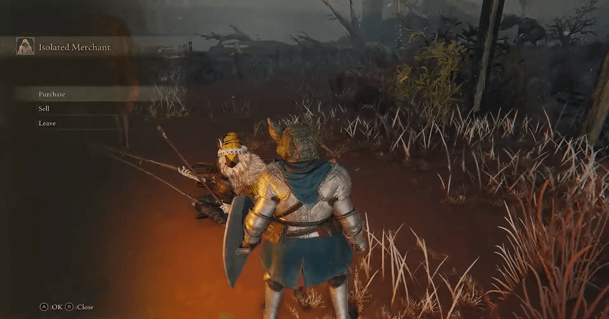 Store Runes Elden Ring: Perfect Ways to Save or Bank Them