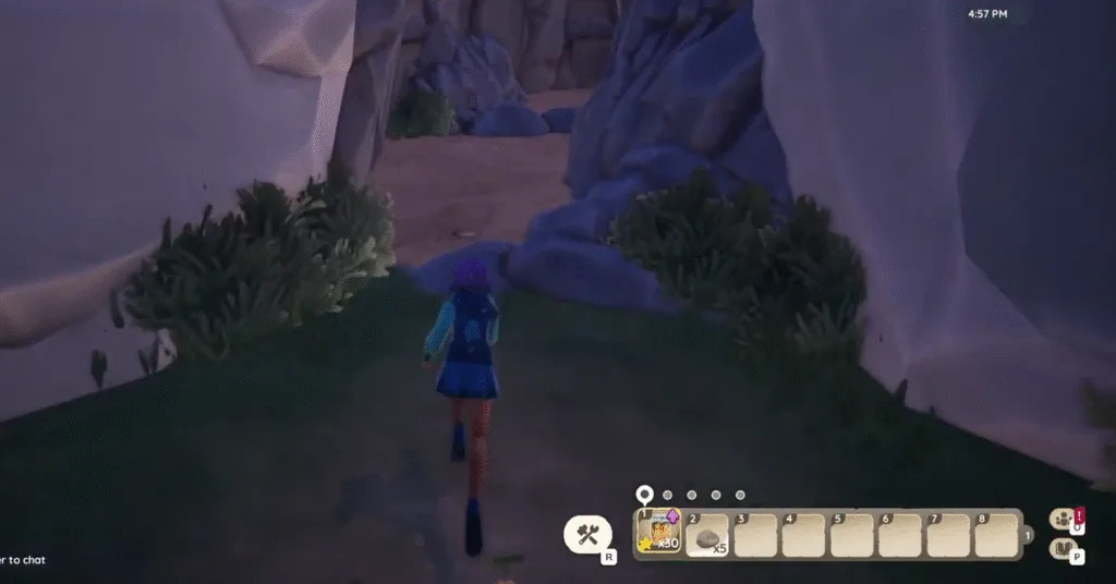 Discovering the Cat Toy_Palia - Better Days Quest